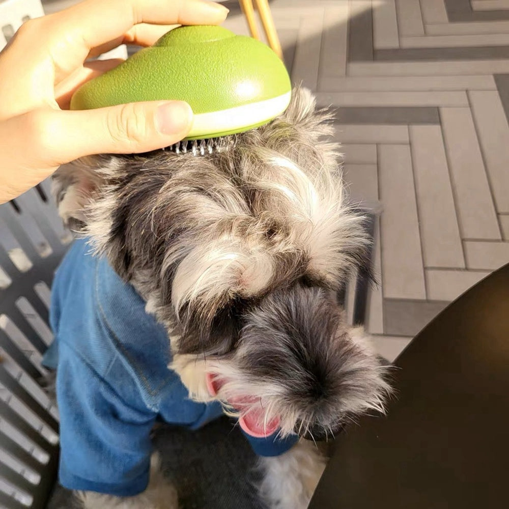 Creative Cat Grooming Brush Portable Massage Come One-Button Hair Removal for Cat & dog