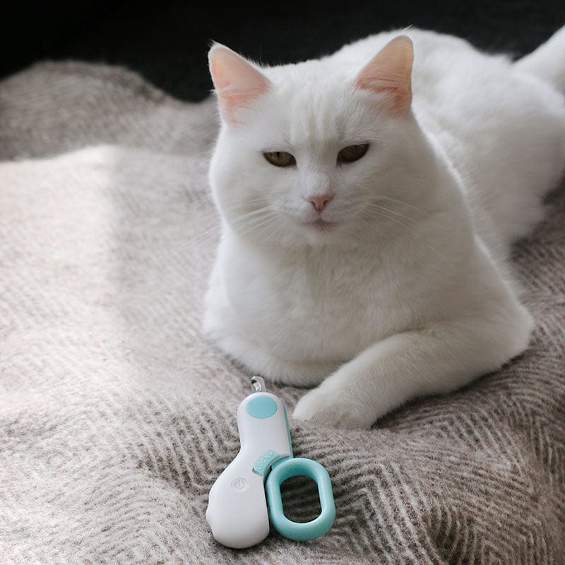 LED Pet Nail Clipper-- Safe, Bright & pain-free Nail Trimming for Cats & Dogs